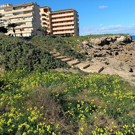 Apartamento Miramar 托雷维耶哈 外观 照片